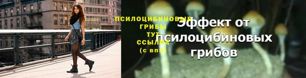 тгк Магас