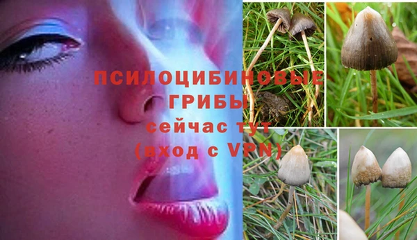 героин Мегион