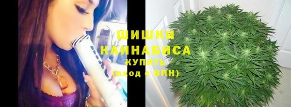 тгк Магас