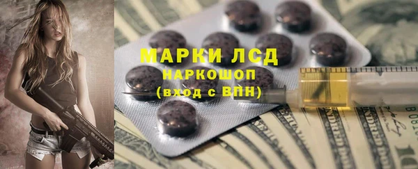 тгк Магас